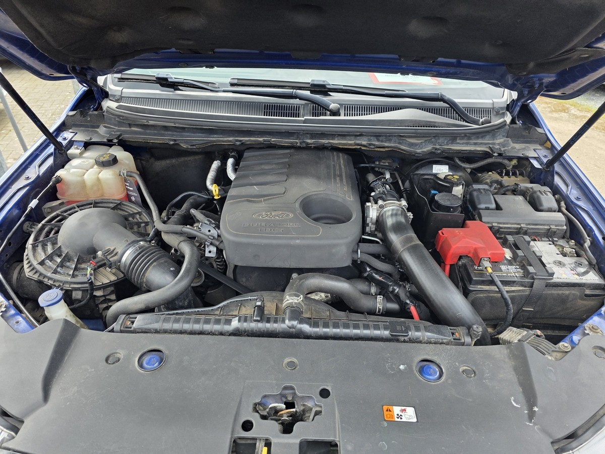 Ford Ranger 3.2 TDCi Wildtrak DK 4x4 (EURO 6) EXPORT/Gewerbe