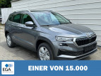 Bild Skoda Karoq 