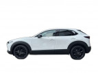 Bild Mazda CX-30 HOMURA ++elek.Heckklappe+ACC++
