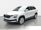 Bild Skoda Karoq 1.5 TSI DSG 130 Jahre LED Kamera AHK
