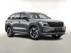 Bild Skoda Kodiaq 4x4 Sportl AHK Matrix Nav Kessy ACC SunS