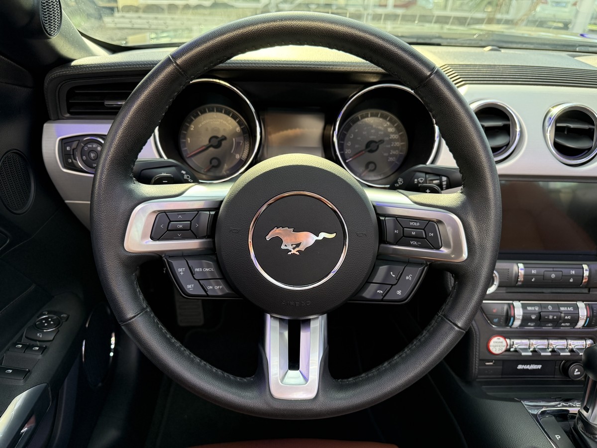 Ford Mustang Convertible 5.0 *1.Hd.*dt.Fzg.*SH-gepflegt.*