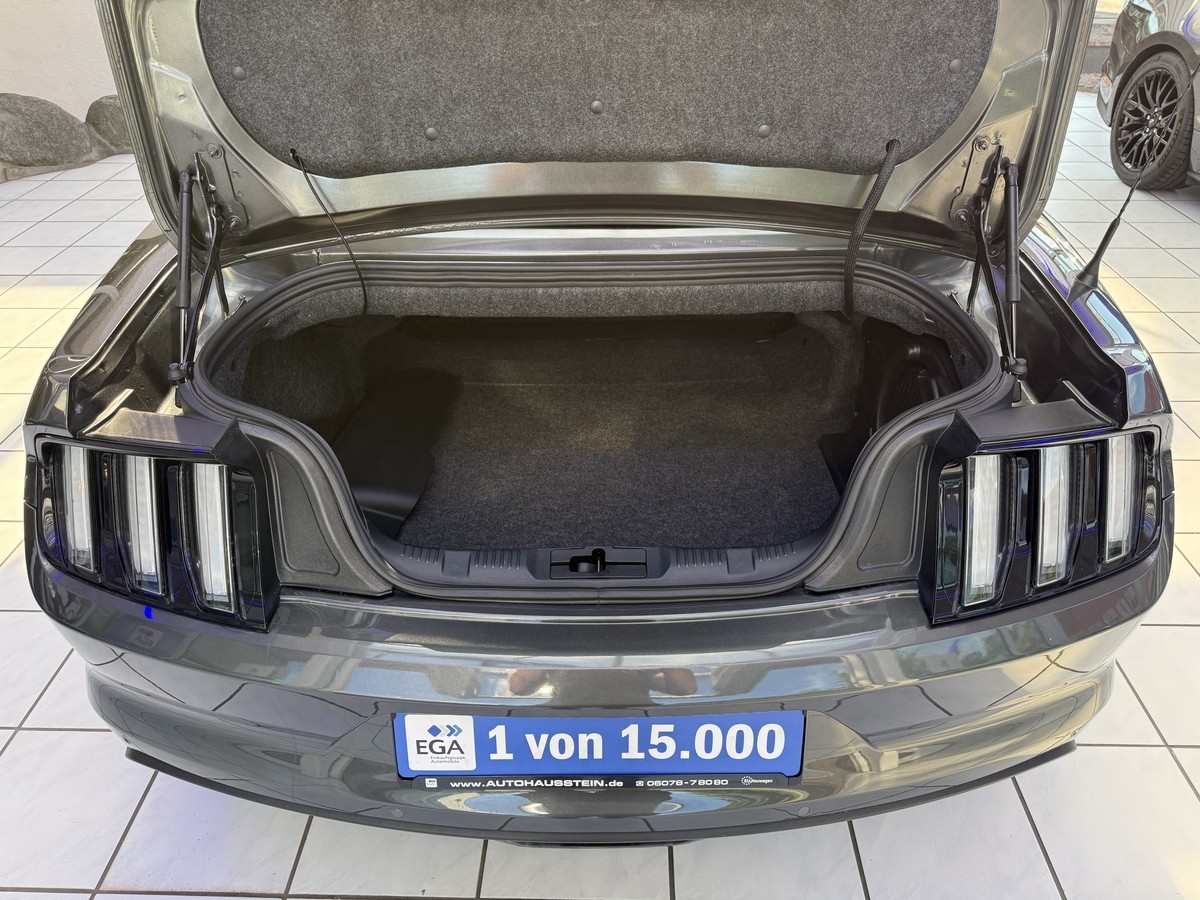 Ford Mustang Convertible 5.0 *1.Hd.*dt.Fzg.*SH-gepflegt.*