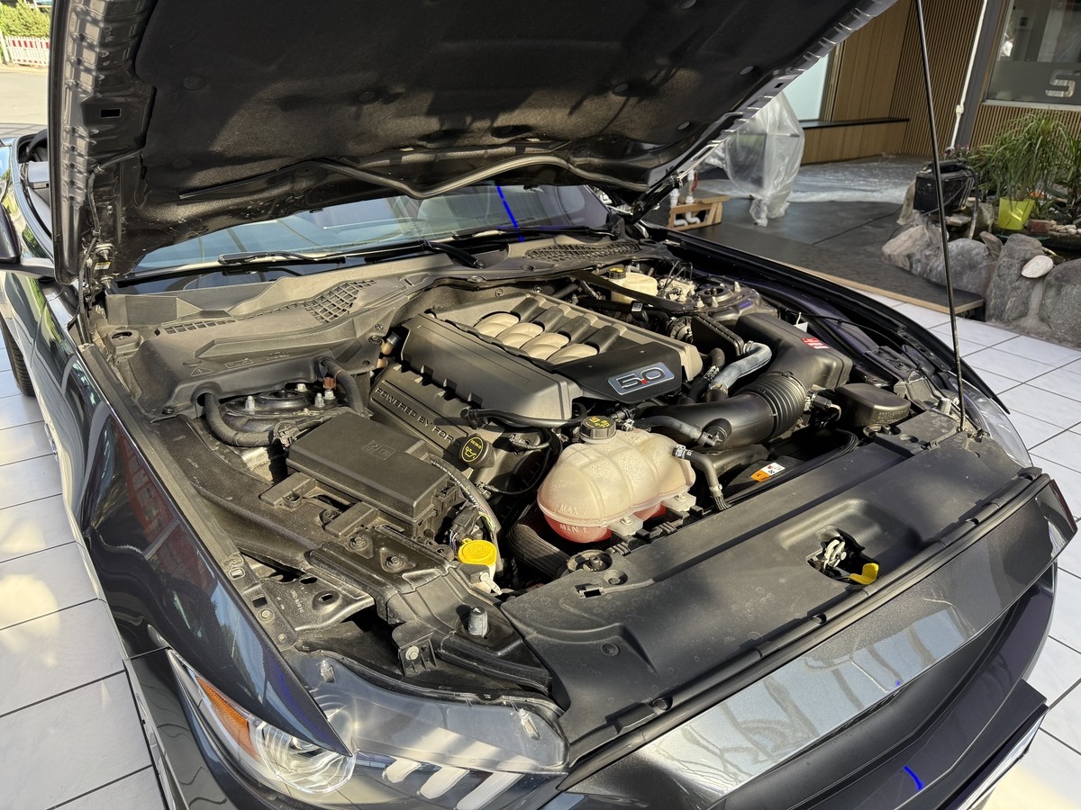 Ford Mustang Convertible 5.0 *1.Hd.*dt.Fzg.*SH-gepflegt.*