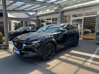 Bild Mazda CX-30 186PS M- Hybrid Homura - AHK, Bose, LED, 360* PDC
