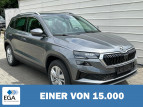 Bild Skoda Karoq 
