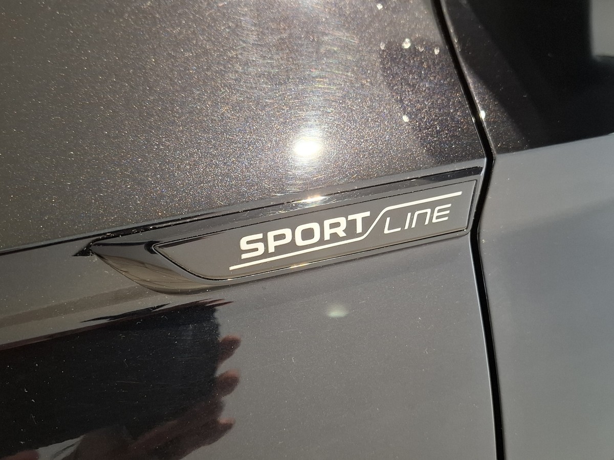 Skoda Karoq 2.0 TSI DSG Sportline 4x4 Standheizung