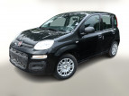Bild Fiat Panda MHEV 5