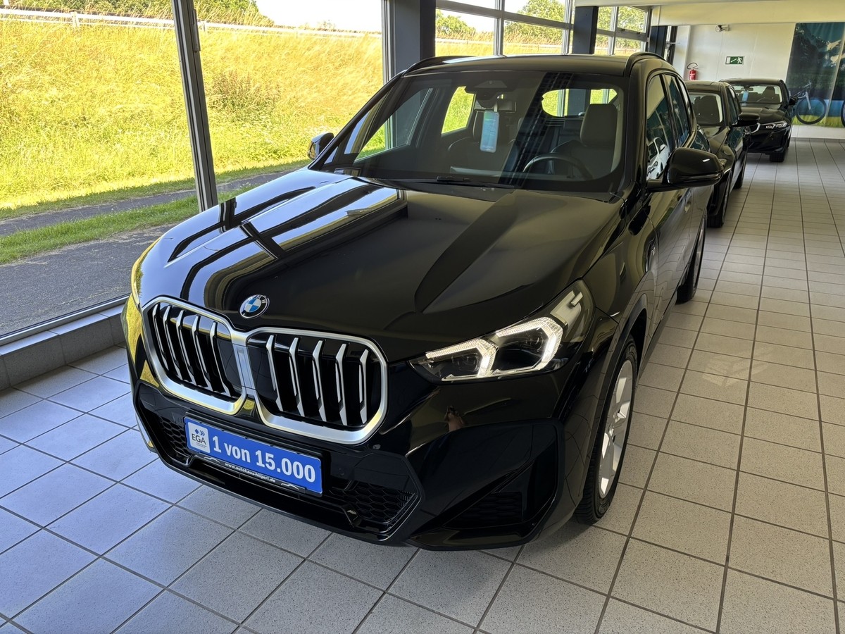 BMW X1sDrive 20i M Sport Allwetter el Sitze AHK H/K