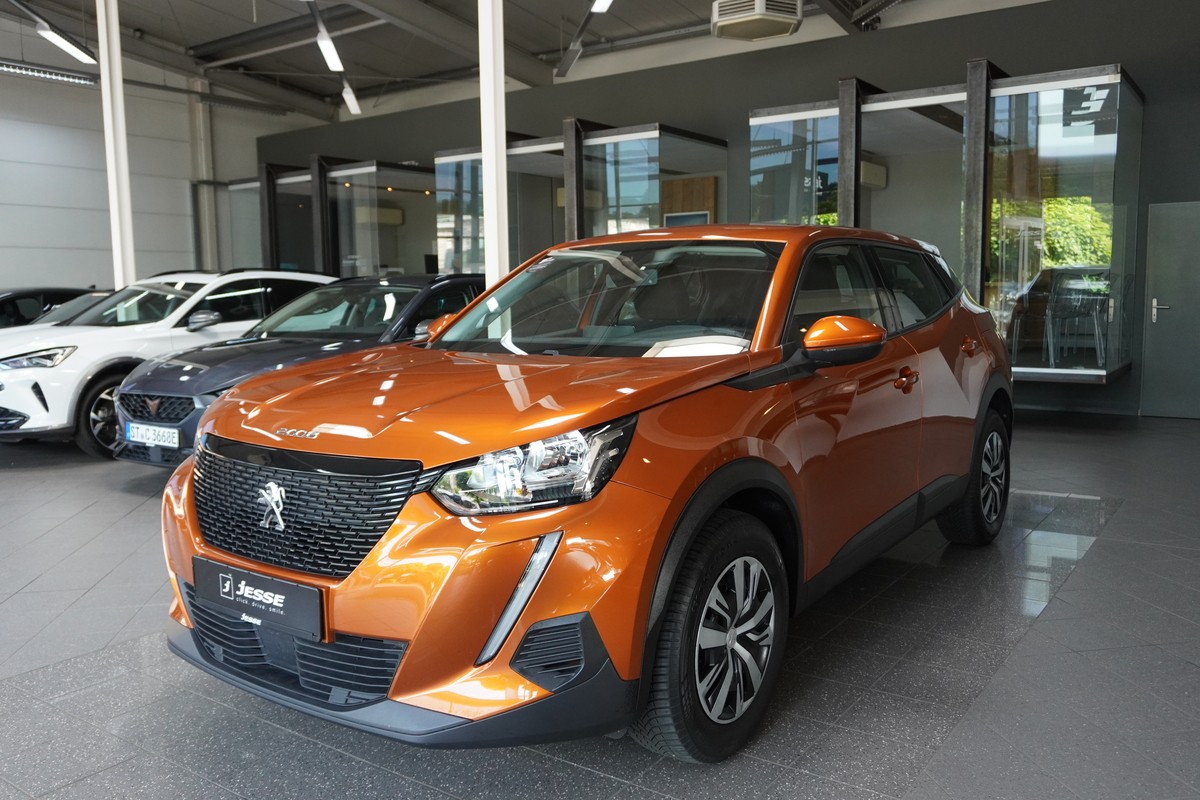 Peugeot 2008 1.5 BlueHDi 110 Active R.Cam Temp CarPlay