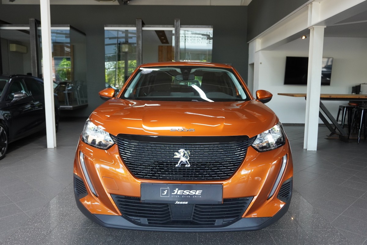 Peugeot 2008 1.5 BlueHDi 110 Active R.Cam Temp CarPlay