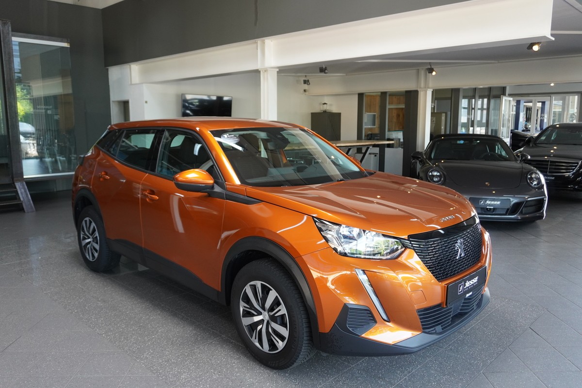 Peugeot 2008 1.5 BlueHDi 110 Active R.Cam Temp CarPlay