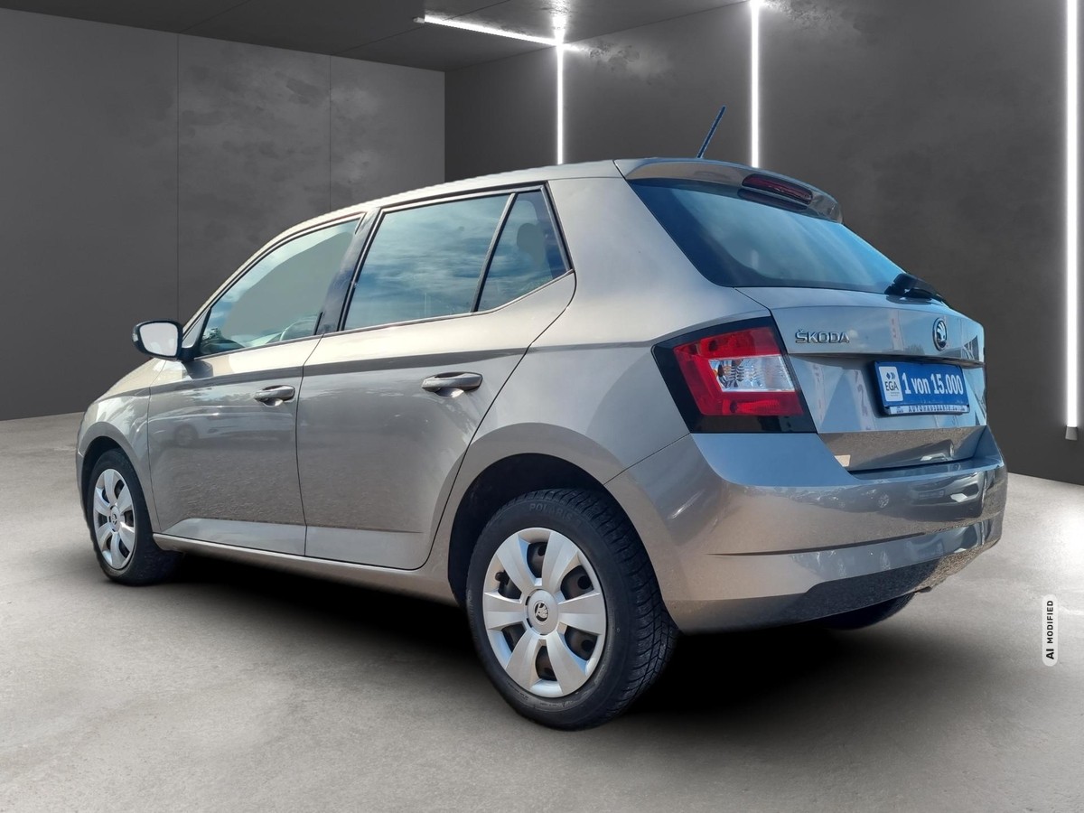 Skoda Fabia 1.0 MPI Cool Plus 1.Hand + Klima