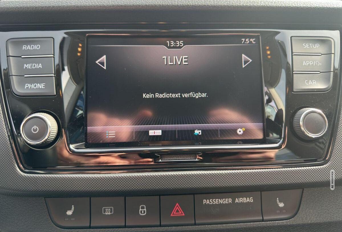 Skoda Fabia Carplay/SHZ/PDC/Bluetooth