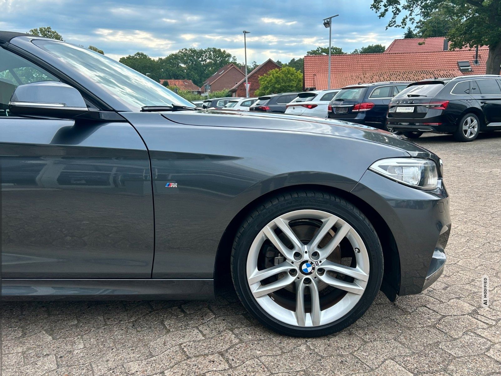 BMW 220 i Cabrio M Paket 1. Hand