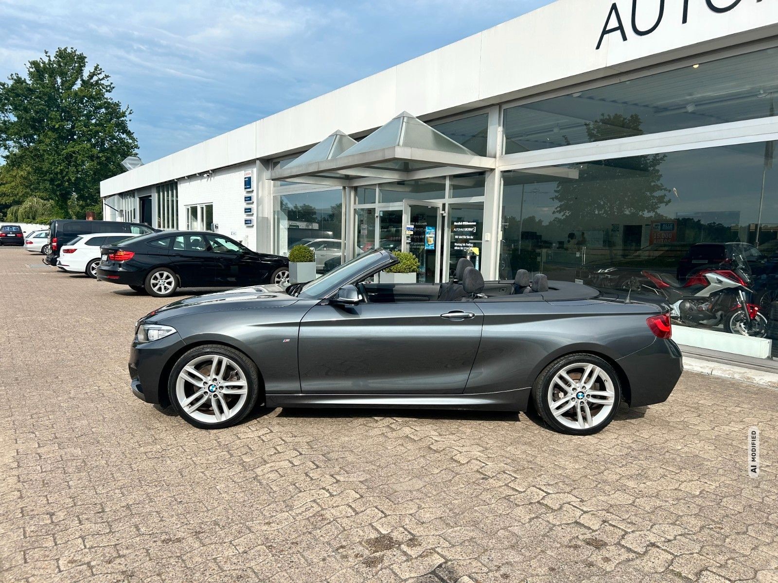 BMW 220 i Cabrio M Paket 1. Hand