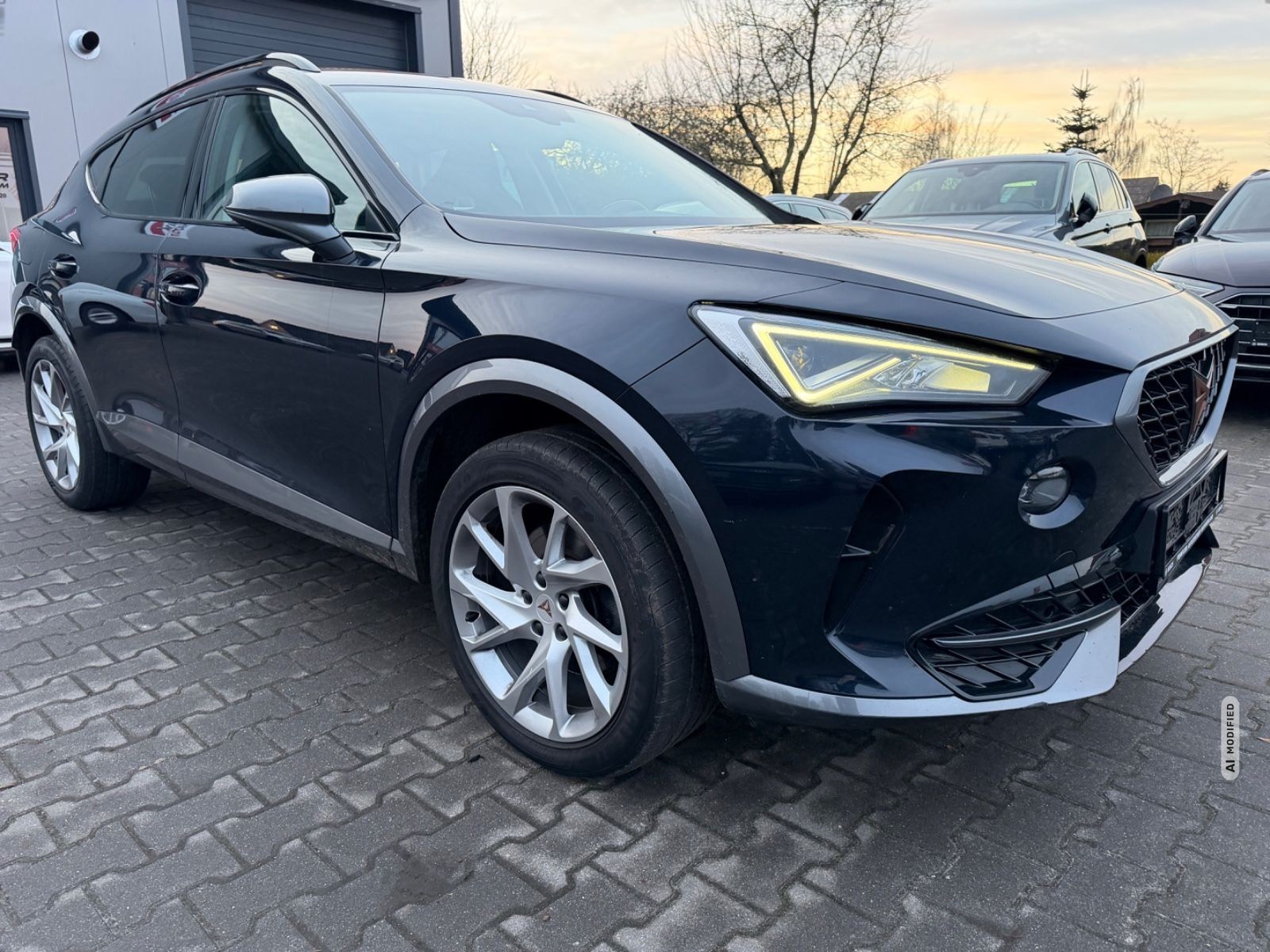 Cupra Formentor 2,0 TDI LEDER MEMORY NAVI LED AMBIENTE