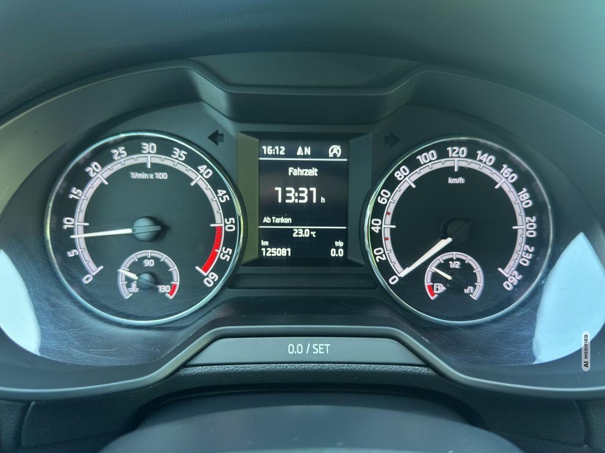 Skoda Octavia Combi SHZ/Navi/AHK/App Connect