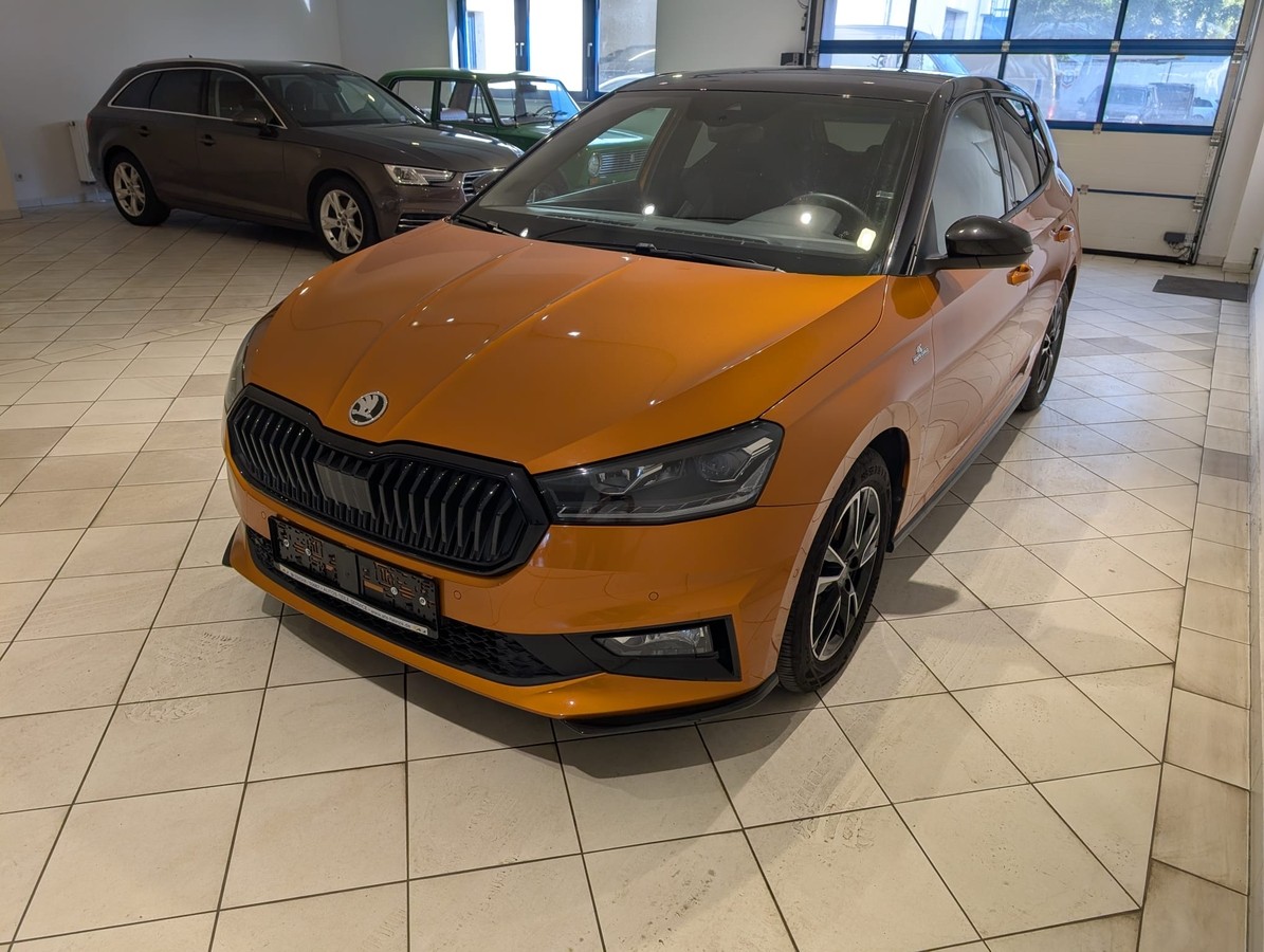 Skoda Fabia Monte Carlo Winter PLUS Parklenkassistent 