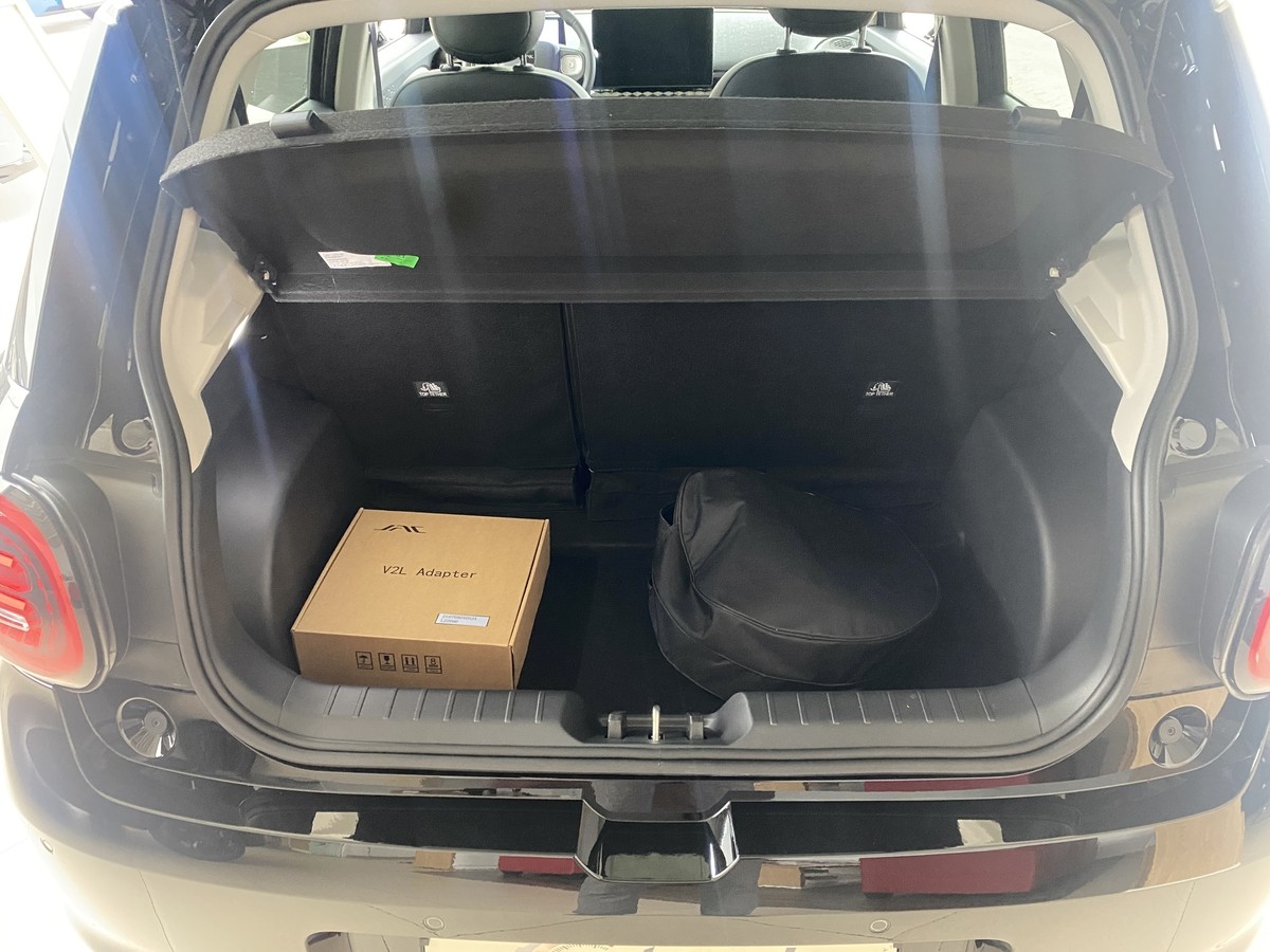 JAC E30X Nordic Edition 50