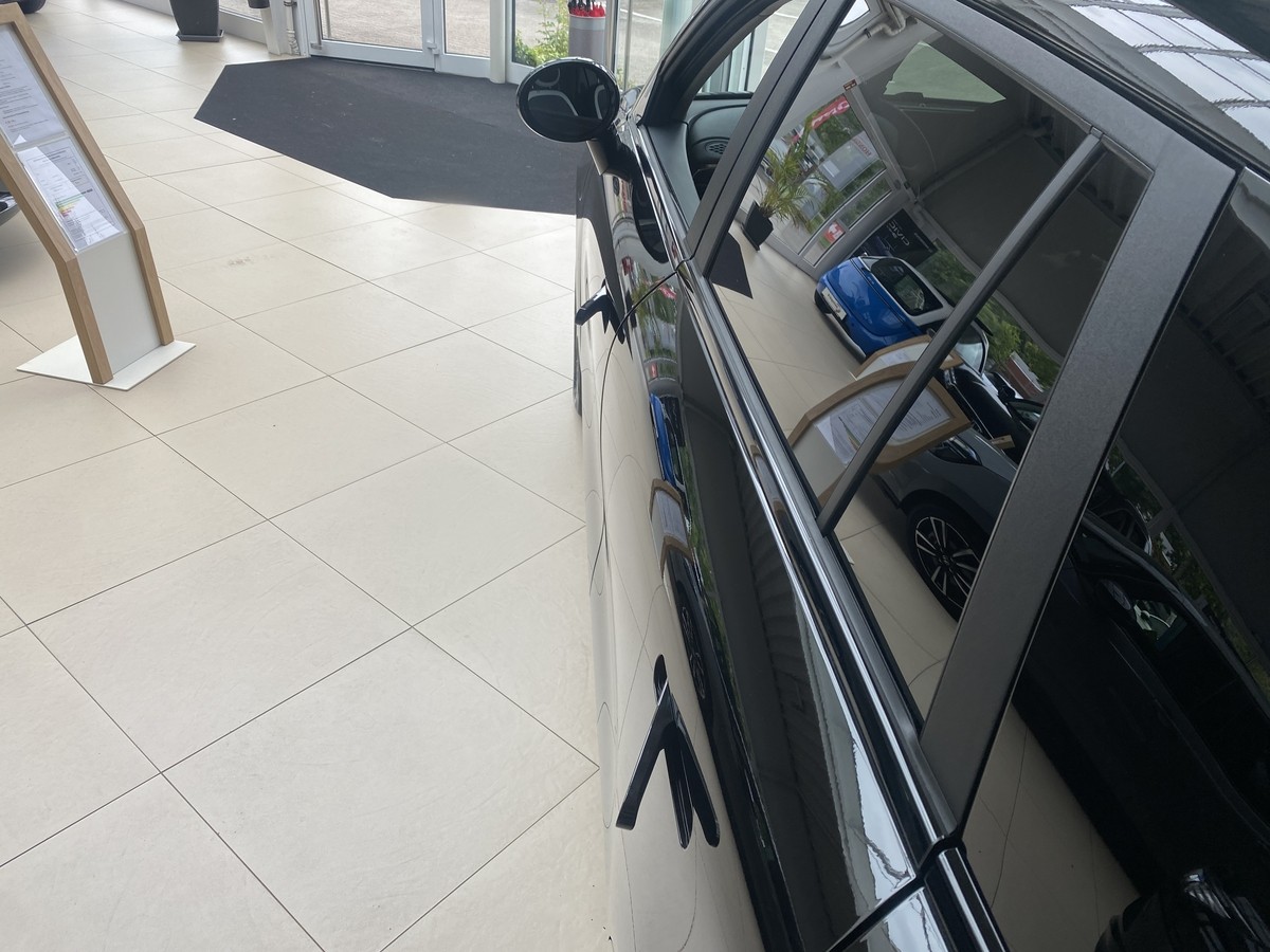 JAC E30X Nordic Edition 50
