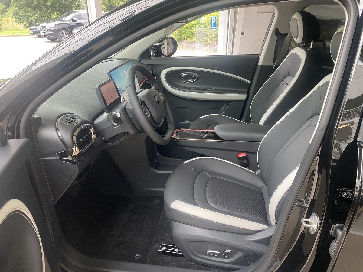 JAC E30X Nordic Edition 50
