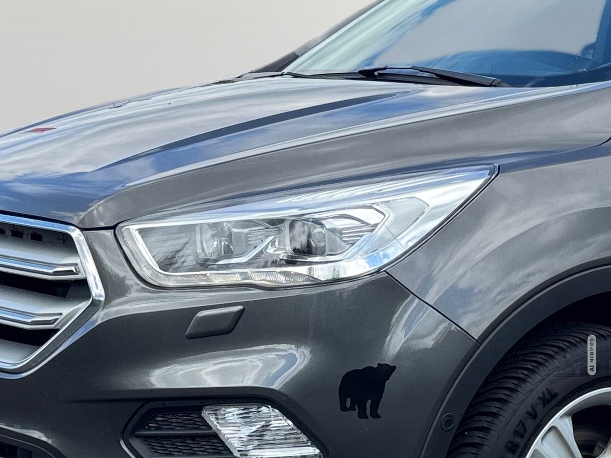 Ford Kuga *Nur Händler* Titanium 4x2 