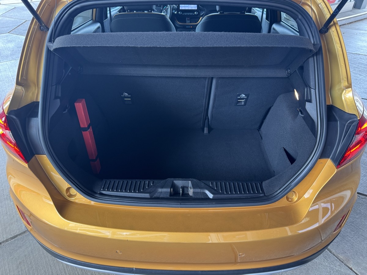 Ford Fiesta 1.0 EcoBoost Active Colourline S/S (EU6d-T) 
