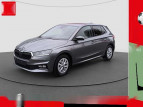 Bild Skoda Fabia 1.0 TSI Ambition LED PDC RFK