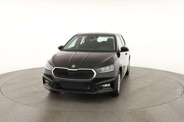 Skoda Fabia 1.0 TSI Selection, Park, Winterpaket, SmartLink, 4