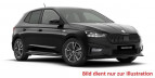Bild Skoda Fabia 1.0TSI DSG Monte Carlo Alufelgen 16 Proxima SHZ ACC-TEMPOMAT TRAVEL ASSIST