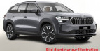 Bild Skoda Kodiaq 1.5TSI DSG 7-Sitzer LEDERAUSSTATTUNG SUITE COGNAC Alufelgen 20 Zoll Rila 