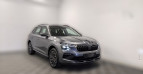 Bild Skoda Kamiq Tour 1.0TSI Matrix-LED Carplay Dig.-Cockp.