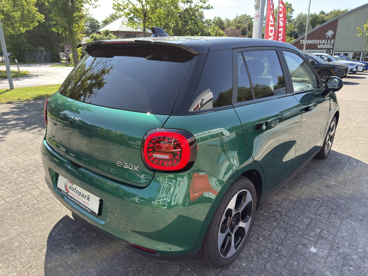 JAC E30X Nordic Edition 50