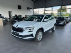 Bild Skoda Karoq Selection 1.5 TSI Navi LED Kamera Tempo Winterpake
