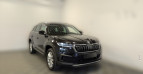 Bild Skoda Kodiaq Style 2.0 TDI 4x4 DSG MTRX Travel AHK ACC