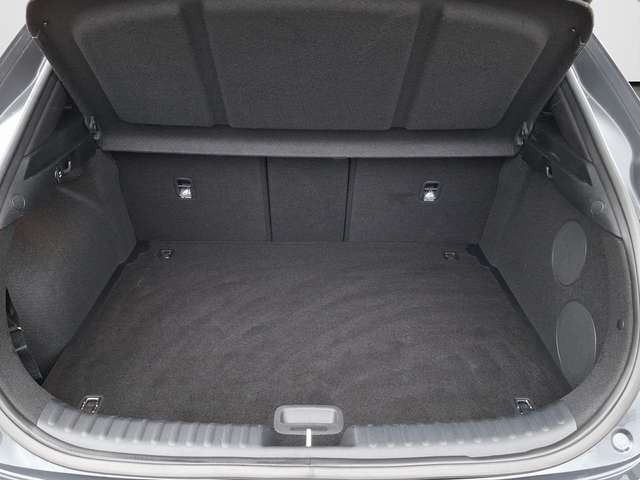 Kia XCeed 1.5 T-GDI Platinum Edition AUTOMATIK / AHK / PANOR
