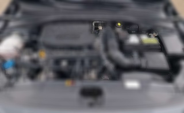 Kia XCeed 1.5 T-GDI Platinum Edition AUTOMATIK / AHK / PANOR