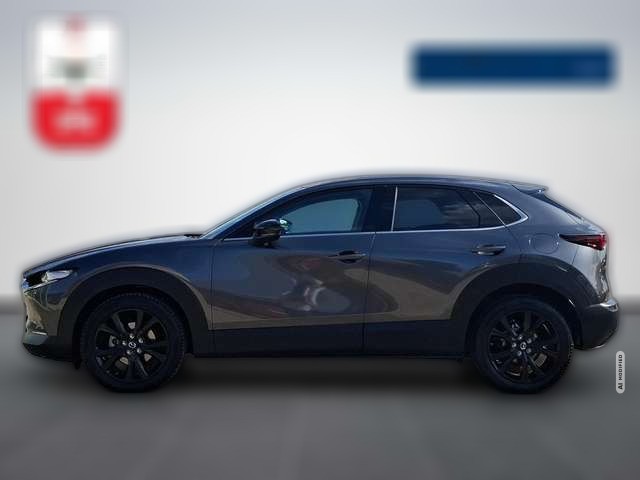 Mazda CX-30 Mazda CX-30 SKYACTIV-G Homura 2.0 AUTOMATIK / LED