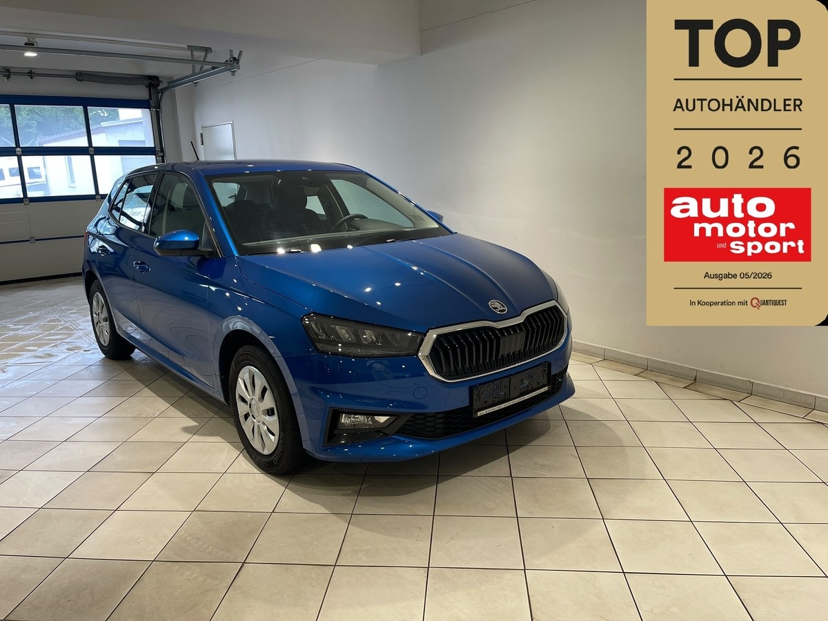 Skoda Fabia 1.0 TSI LED Klimaautomatik 5J Garantie