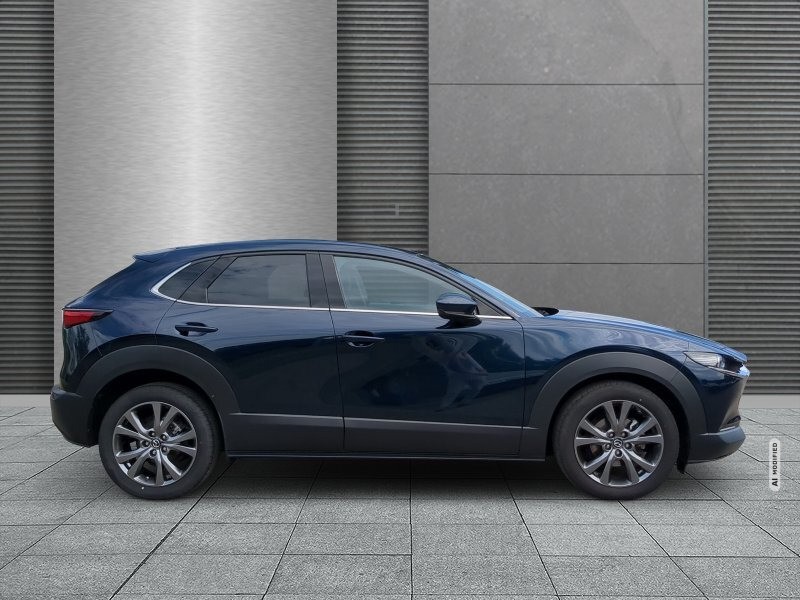 Mazda CX-30 2.0 SKYACTIV-X M Hybrid Selection 2WD SHZ+360° Kamera
