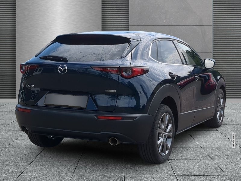 Mazda CX-30 2.0 SKYACTIV-X M Hybrid Selection 2WD SHZ+360° Kamera