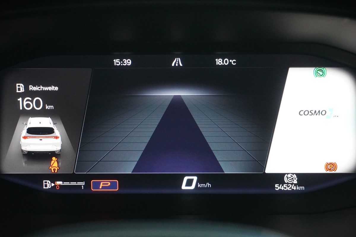 Cupra Formentor 1.5 TSI DSG LED ACC Pano R.Cam 