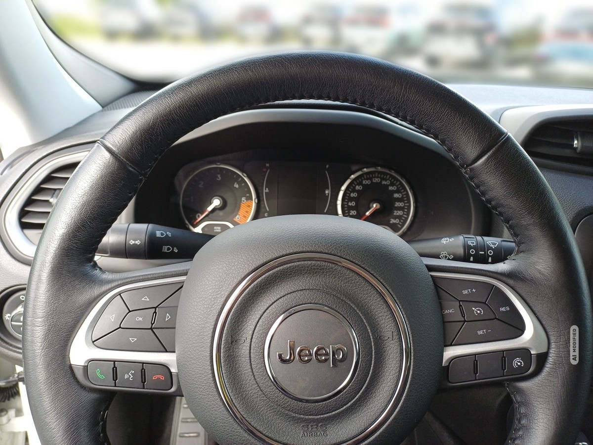 Jeep Renegade 1.6 MultiJet Longitude FWD PDC Sitzh. DAB Spurh.