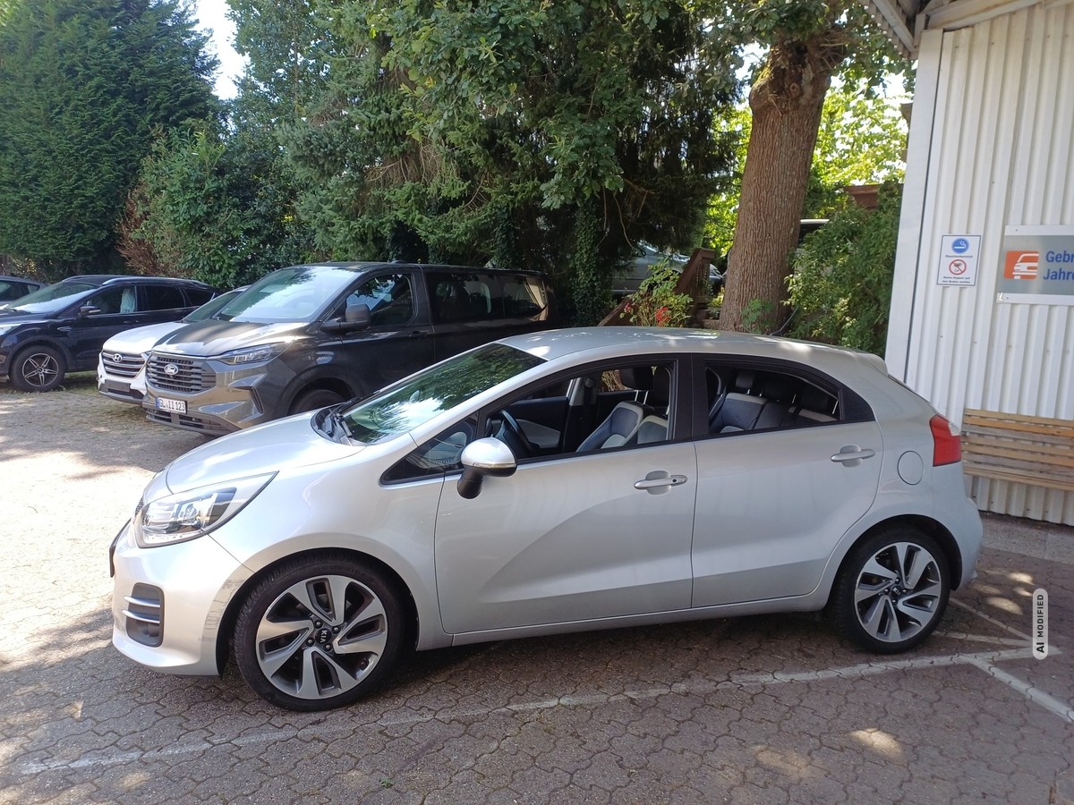 Kia Rio 1.4 CRDI SPIRIT KLIMA SHZ PDC MFL TEMPO LENKR-HEIZ. 