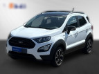 Bild Ford EcoSport 1.0 EcoBoost Active Kamera TWA M&S
