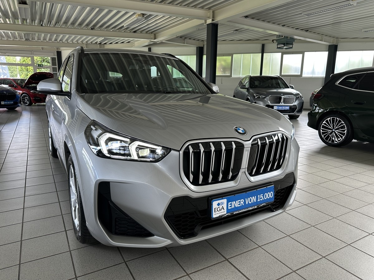 BMW X1sDrive 20i MSport H/K AHK Pannodach Allwetter