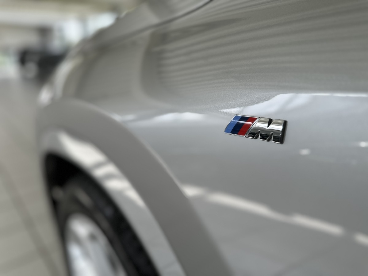 BMW X1sDrive 20i MSport H/K AHK Pano Allwetter