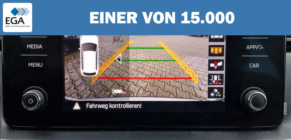 Skoda Kamiq 1.0 TSI Ambition LED Kamera PDC CarPlay Al