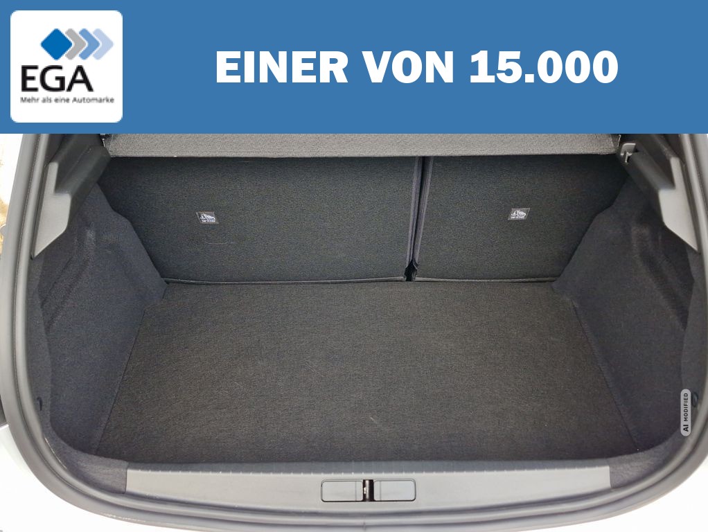 Opel Corsa F 1.2 Turbo GS LED Matrix Kamera SHZ Toter